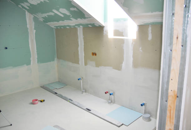 Biohazard Mold Removal in Leadwood, MO
