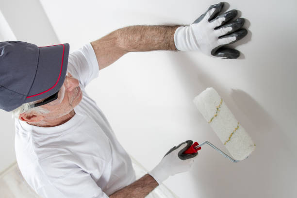 Best Emergency Mold Remediation  in Leadwood, MO