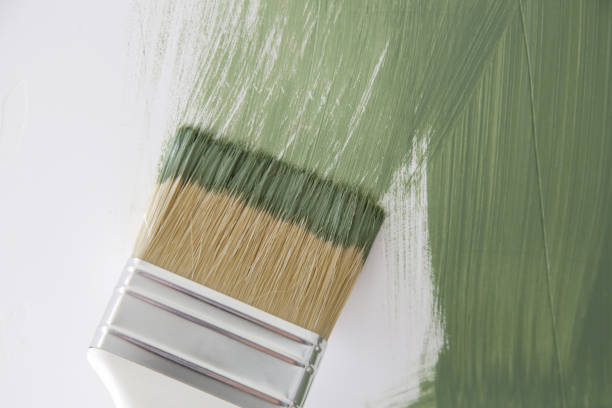 Mold Remediation for Vacation Homes in Leadwood, MO
