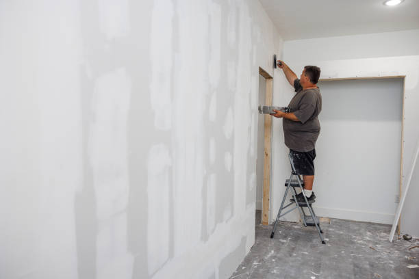 Best Real Estate Mold Inspection  in Leadwood, MO