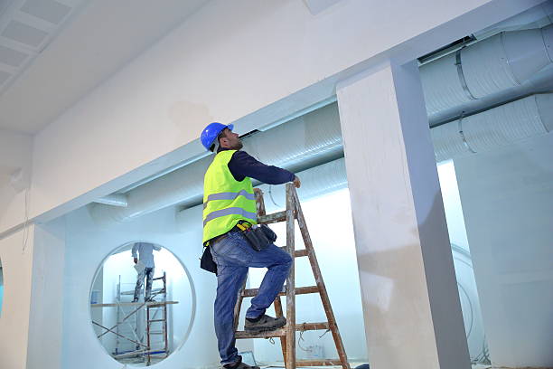 Best Biohazard Mold Removal  in Leadwood, MO